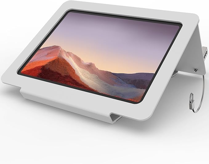 Tablet Desk Stand, All Metal 30° Ergonomic with Security Cable Lock for Office, POS Counter, Reception - Compatible with iPad 10th (10.9"), Pro 11", Air 4/5 (10.9"), Air 11"，iPad 11"(A16)